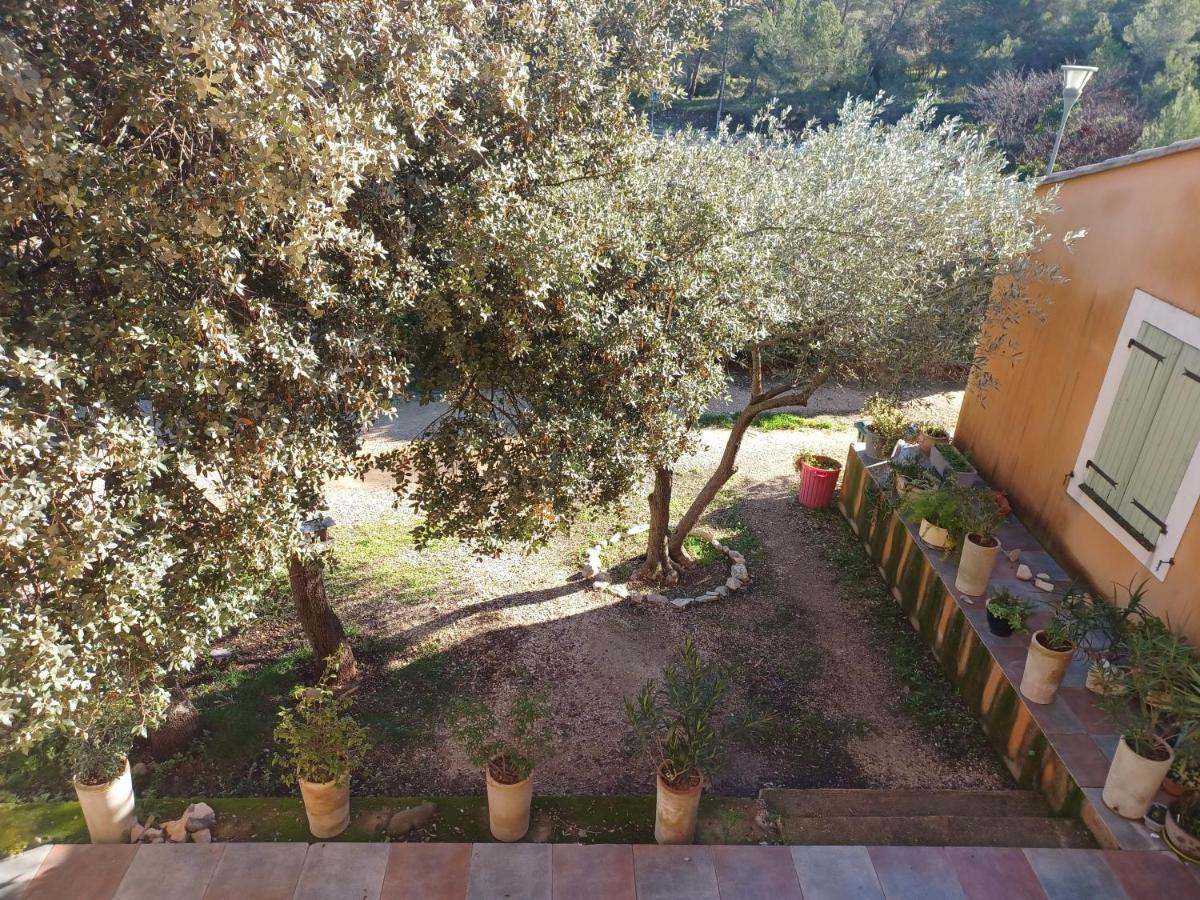 Chambre Cosy Nîmes Exteriér fotografie